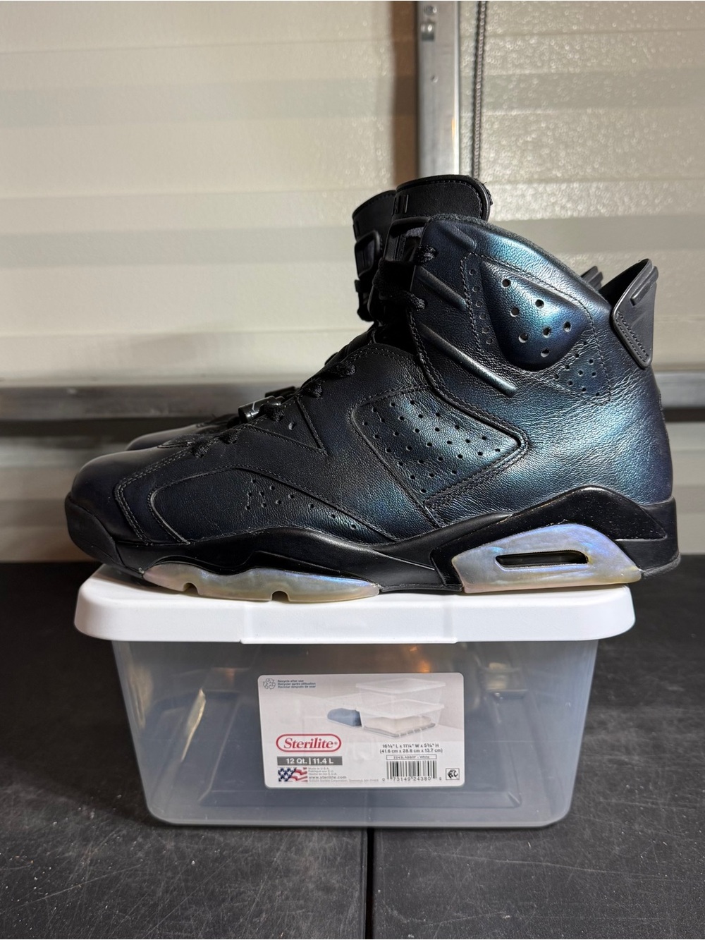 Size 12 - AJ 6 All Star Chameleon